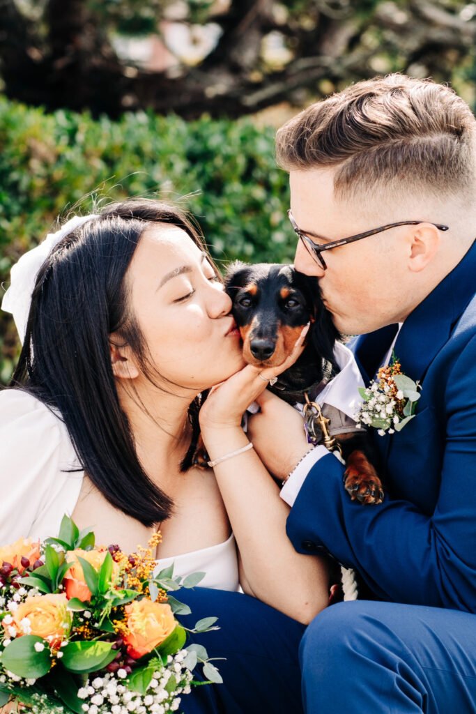 Dogs are welcome at New England Ceremonies