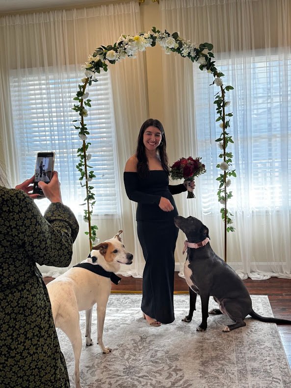 Dogs welcome at New England Ceremonies!